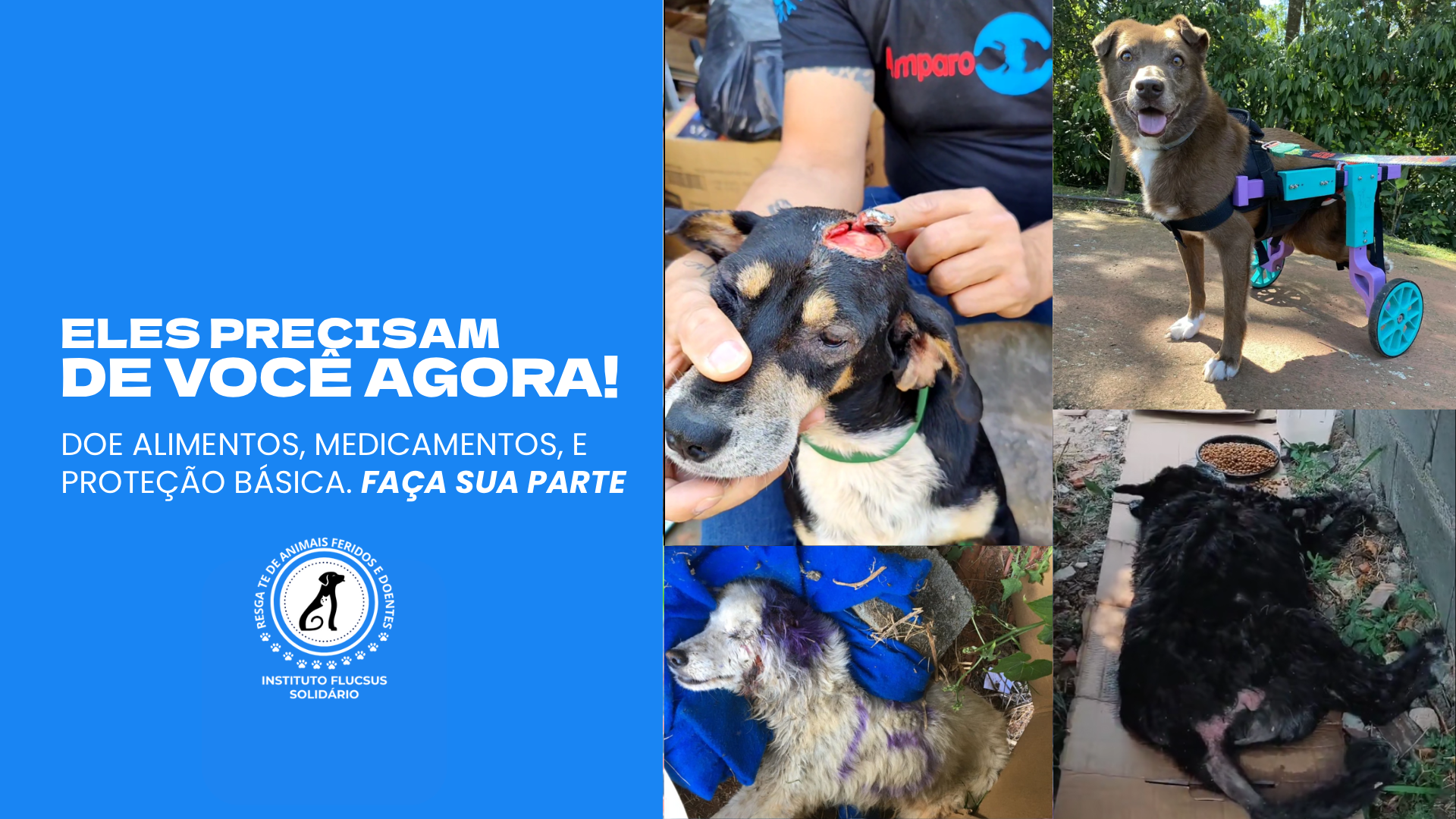 Instituição Lar das Patinhas